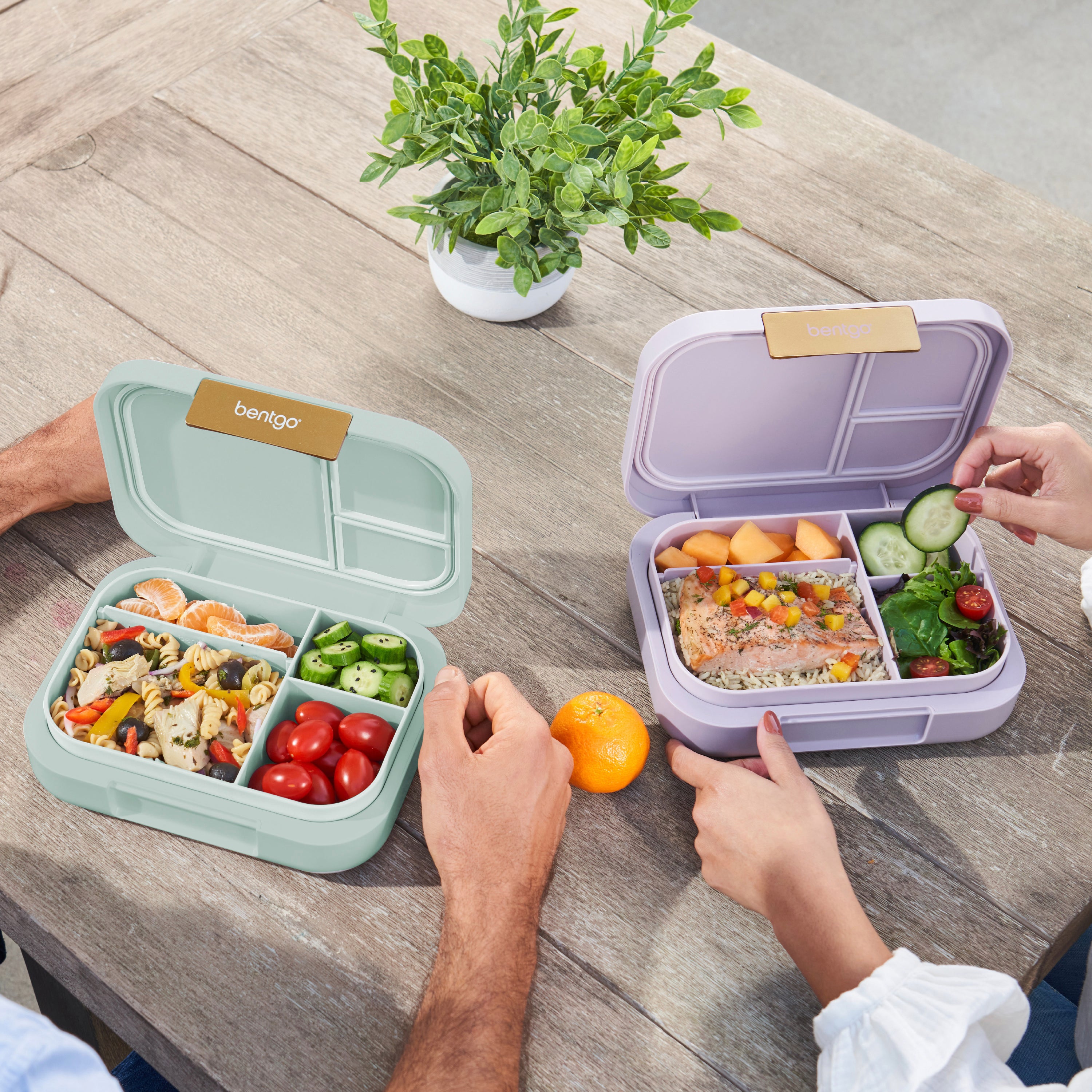bentgo-modern-lunchbox-2er-pack-bento-f-r-erwachsene image 3